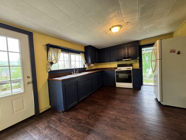 kitchen featuring freestanding refrigerator, electric stove, dark wood-style flooring, and a sink