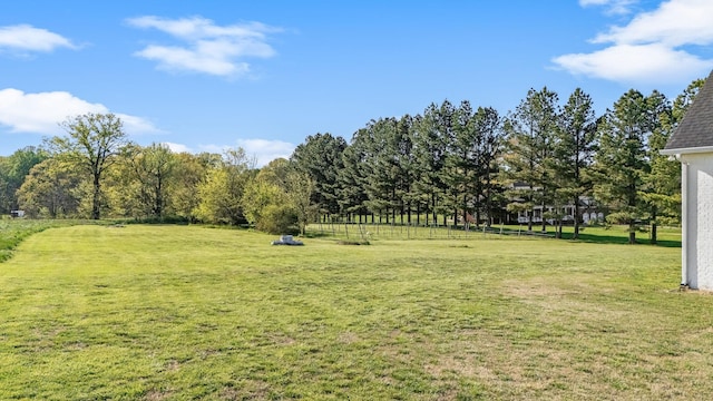 2040 Cairo Bend Rd, Lebanon, TN 37087 - view of yard