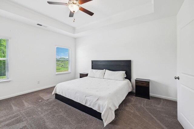 carpeted bedroom with baseboards, multiple windows, visible vents, and a raised ceiling