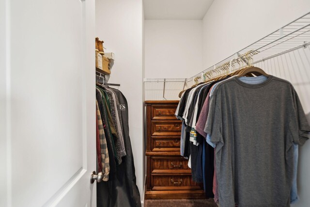 view of spacious closet