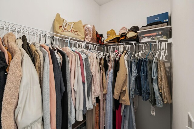 view of walk in closet