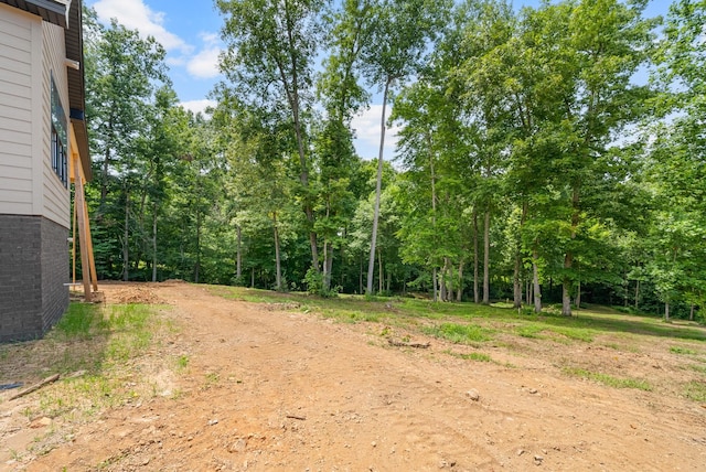 1319 Shady Grove Rd, Clarksville, TN 37043 - photo 31