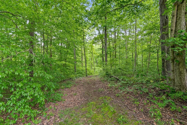 3988 Casparis Rd, Franklin, TN 37064 - photo 44