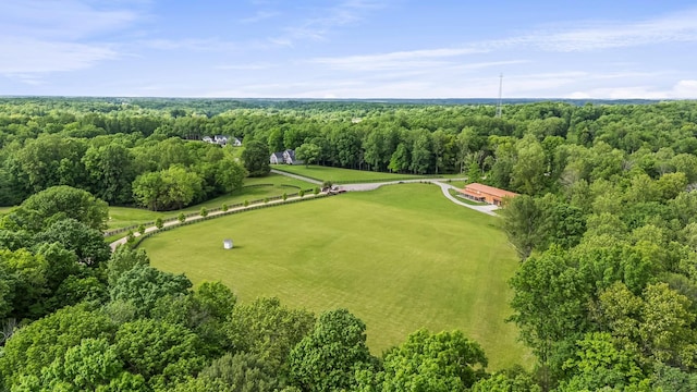 3988 Casparis Rd, Franklin, TN 37064 - photo 41