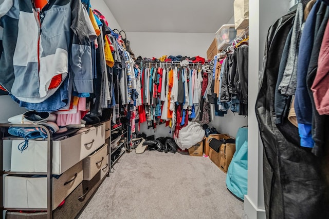 3032 Oxford Dr, Mount Juliet, TN 37122 - walk in closet featuring carpet flooring