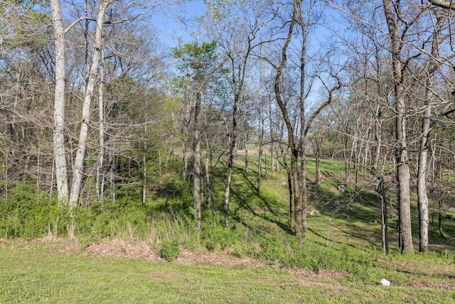 view of local wilderness with a view of trees