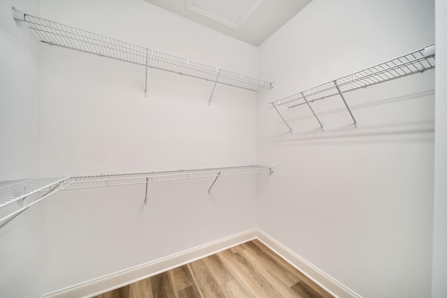 walk in closet featuring light wood-type flooring