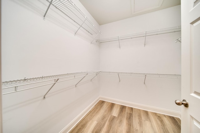 walk in closet with light wood finished floors