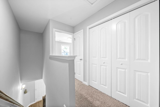 hallway with carpet flooring