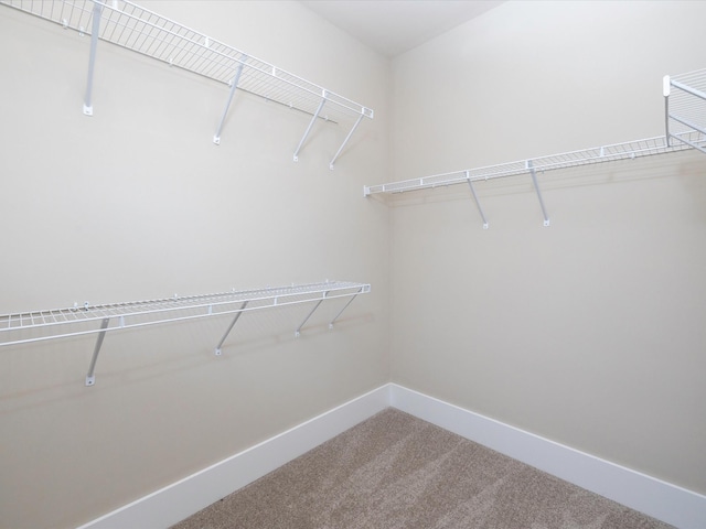 1068 Amelia Park Dr, Franklin, TN 37067 - walk in closet featuring carpet