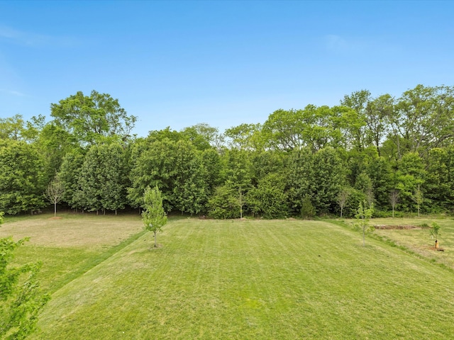 1068 Amelia Park Dr, Franklin, TN 37067 - view of yard