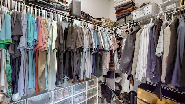 615 Pine Bloom Rd, Lebanon, TN 37087 - view of walk in closet