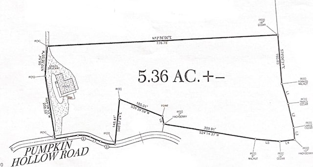 341 Pumpkin Hollow Rd, Liberty, TN 37095 - photo 50