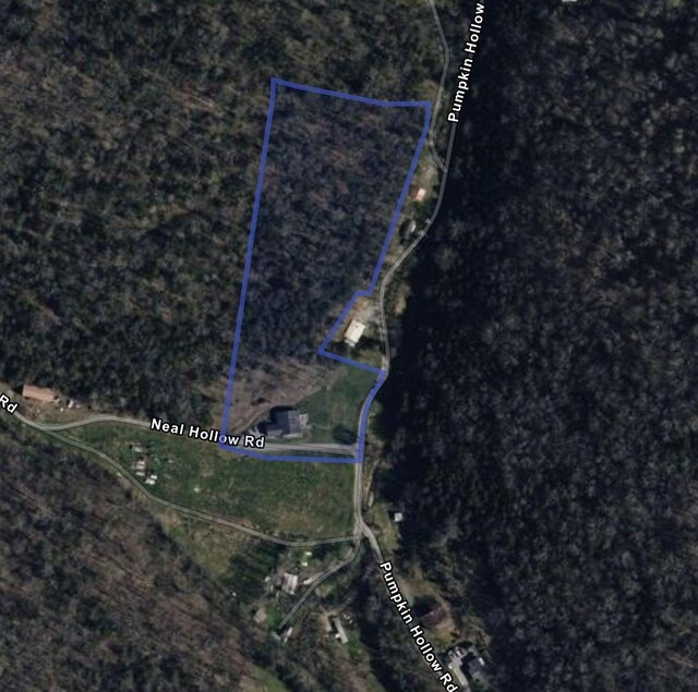 341 Pumpkin Hollow Rd, Liberty, TN 37095 - photo 47