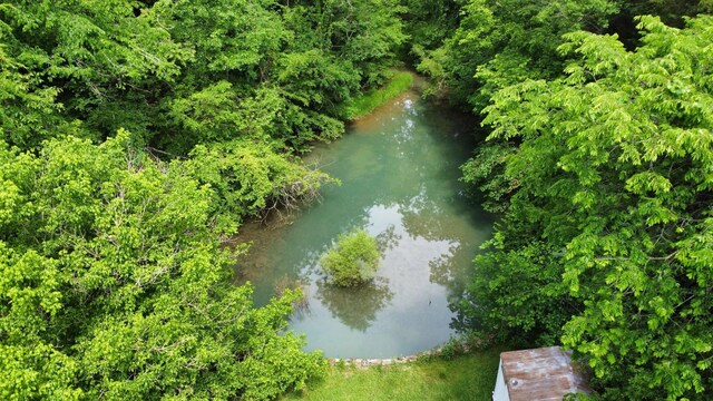341 Pumpkin Hollow Rd, Liberty, TN 37095 - photo 42