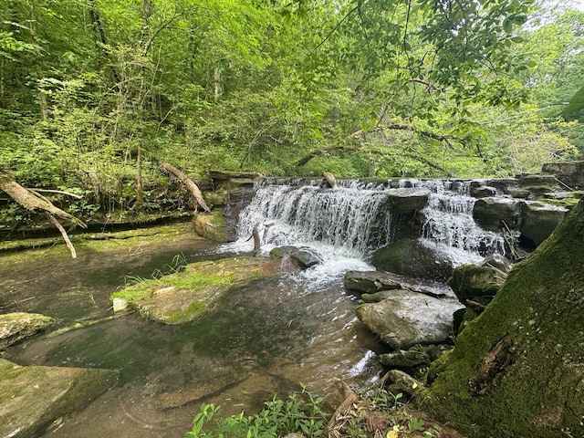 341 Pumpkin Hollow Rd, Liberty, TN 37095 - photo 44
