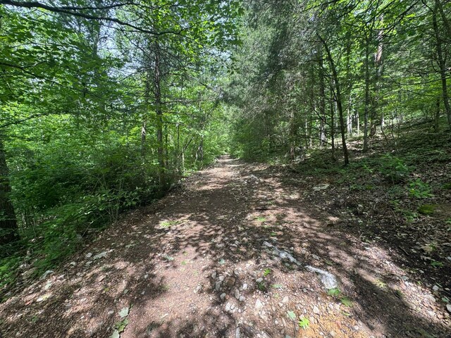 341 Pumpkin Hollow Rd, Liberty, TN 37095 - photo 43