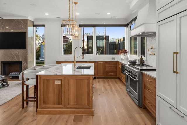 kitchen with light stone countertops, high end appliances, custom exhaust hood, light wood-style floors, and a sink