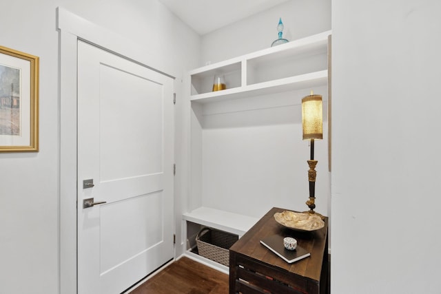 mudroom with dark wood-type flooring