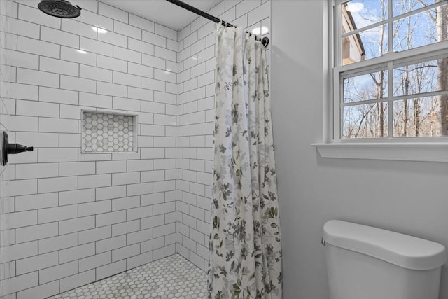 7327 Hunting Camp Rd, Fairview, TN 37062 - bathroom featuring toilet and tiled shower