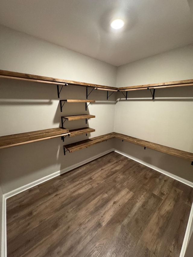 7327 Hunting Camp Rd, Fairview, TN 37062 - walk in closet featuring dark wood finished floors