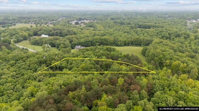 7327 Hunting Camp Rd, Fairview, TN 37062 - bird's eye view featuring a view of trees