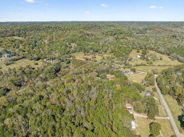aerial view with a forest view