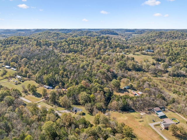 aerial view with a forest view