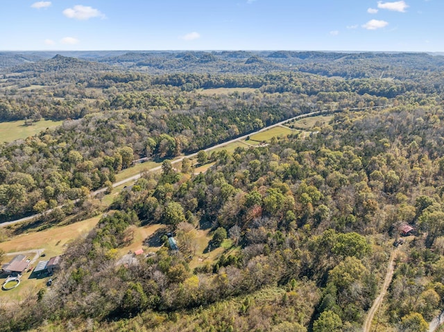 aerial view with a wooded view