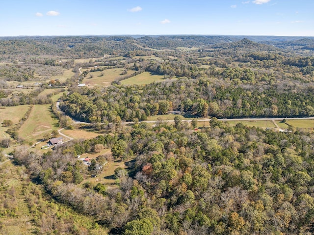 aerial view with a wooded view
