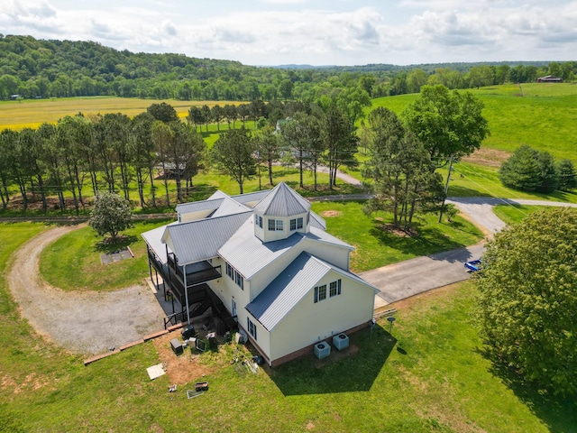 bird's eye view