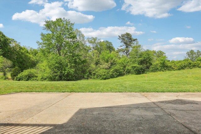 4025 Moore Hollow Rd, Woodlawn, TN 37191 - exterior space featuring a wooded view