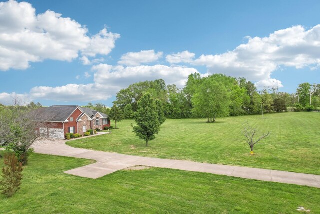 4025 Moore Hollow Rd, Woodlawn, TN 37191 - view of yard