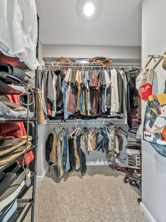 spacious closet with carpet