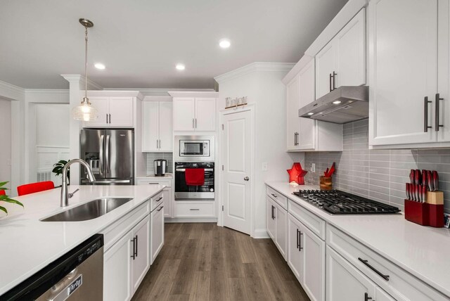 4372 Spregan Way, Smyrna, TN 37167 - kitchen featuring a sink, stainless steel appliances, under cabinet range hood, light countertops, and white cabinets