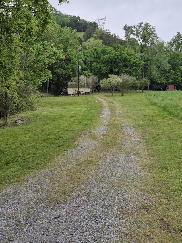 2203 Stones River Rd, Woodbury, TN 37190 - photo 60