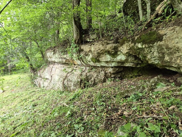 2203 Stones River Rd, Woodbury, TN 37190 - photo 61