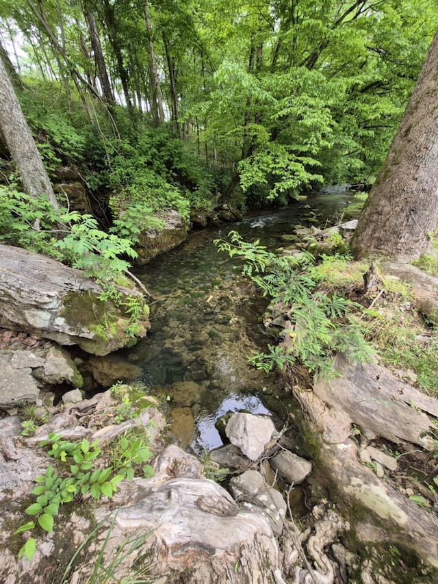 2203 Stones River Rd, Woodbury, TN 37190 - photo 67