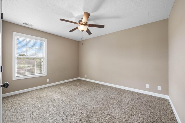 337 Abeline Dr, Clarksville, TN 37043 - photo 27