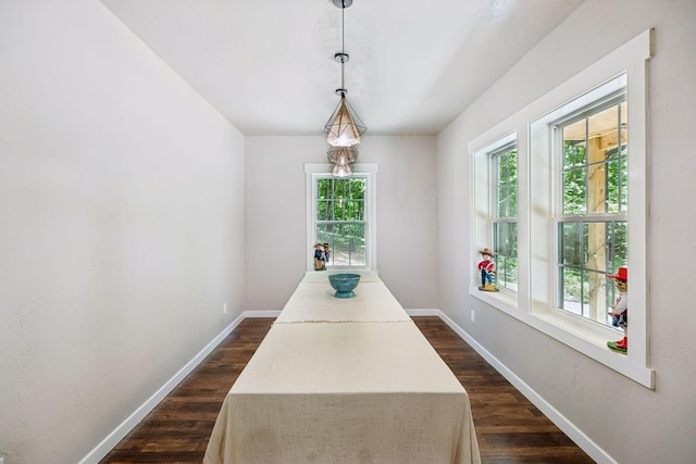 2217 Wiley Pardue Rd, Ashland City, TN 37015 - dining area with plenty of natural light and dark wood-type flooring