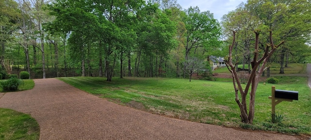 view of community featuring a lawn and driveway