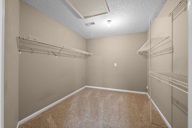 2938 Heatherfield Dr, Woodlawn, TN 37191 - walk in closet with carpet and attic access