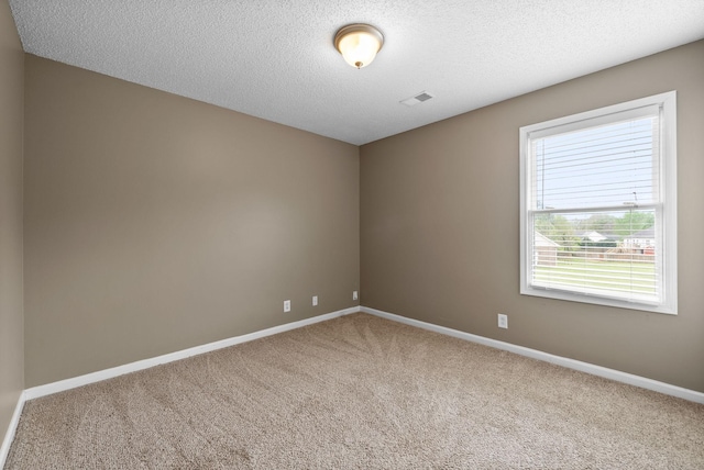 2938 Heatherfield Dr, Woodlawn, TN 37191 - carpeted empty room with baseboards and a textured ceiling