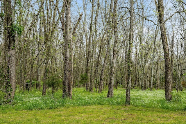 view of landscape featuring a view of trees