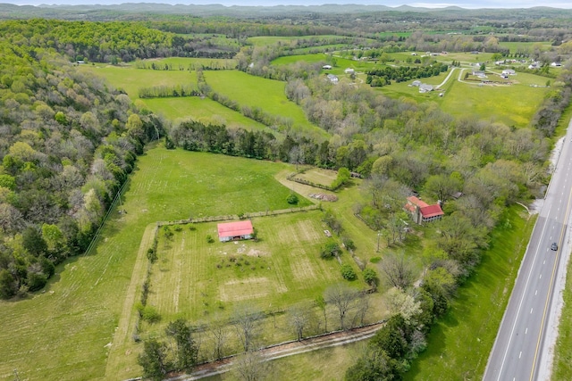 bird's eye view featuring a mountain view, a rural view, and a forest view