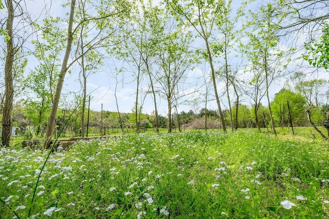 view of landscape