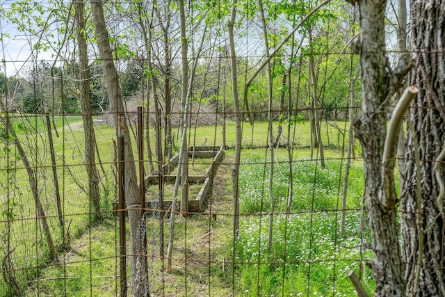 view of local wilderness featuring a wooded view