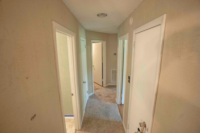 131 Brandywine Dr, Clarksville, TN 37042 - photo 8