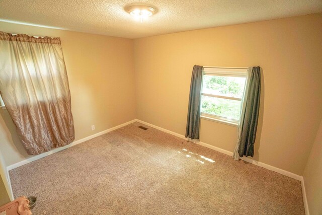 131 Brandywine Dr, Clarksville, TN 37042 - photo 12