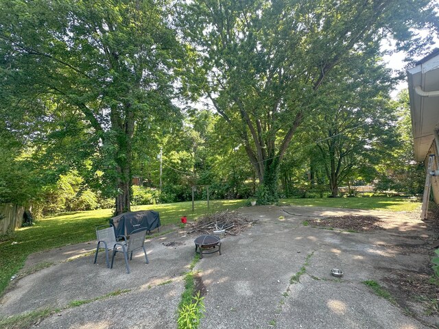 131 Brandywine Dr, Clarksville, TN 37042 - photo 19